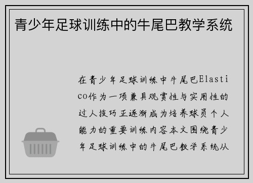 青少年足球训练中的牛尾巴教学系统